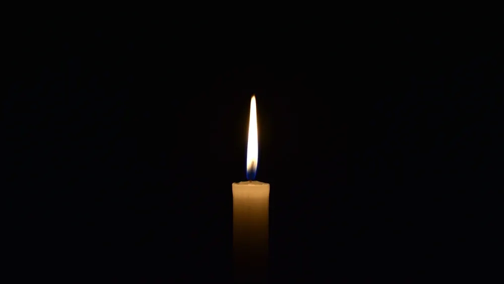 Фото: Dmitriy Yermishin/Shutterstock/Fotodom