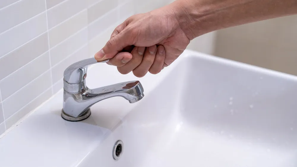 Фото: shisu_ka/Shutterstock/Fotodom