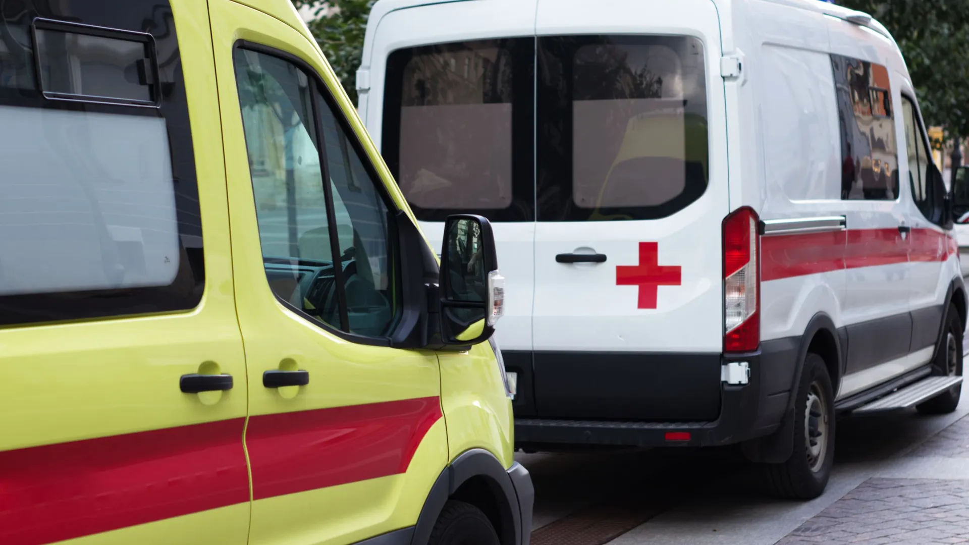 Фото: Olga_bl777/Shutterstock/Fotodom