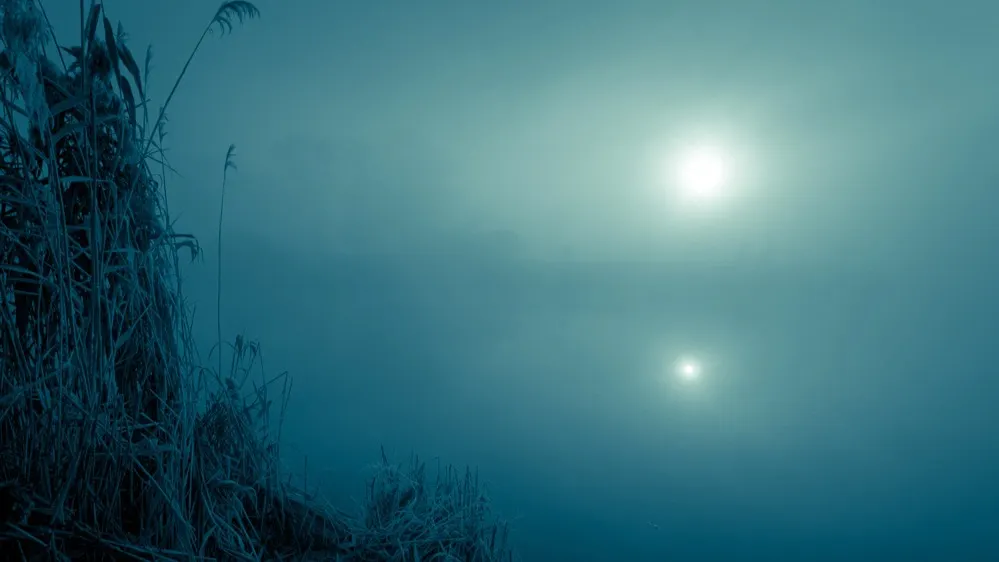 Фото: Stone36/Shutterstock/Fotodom