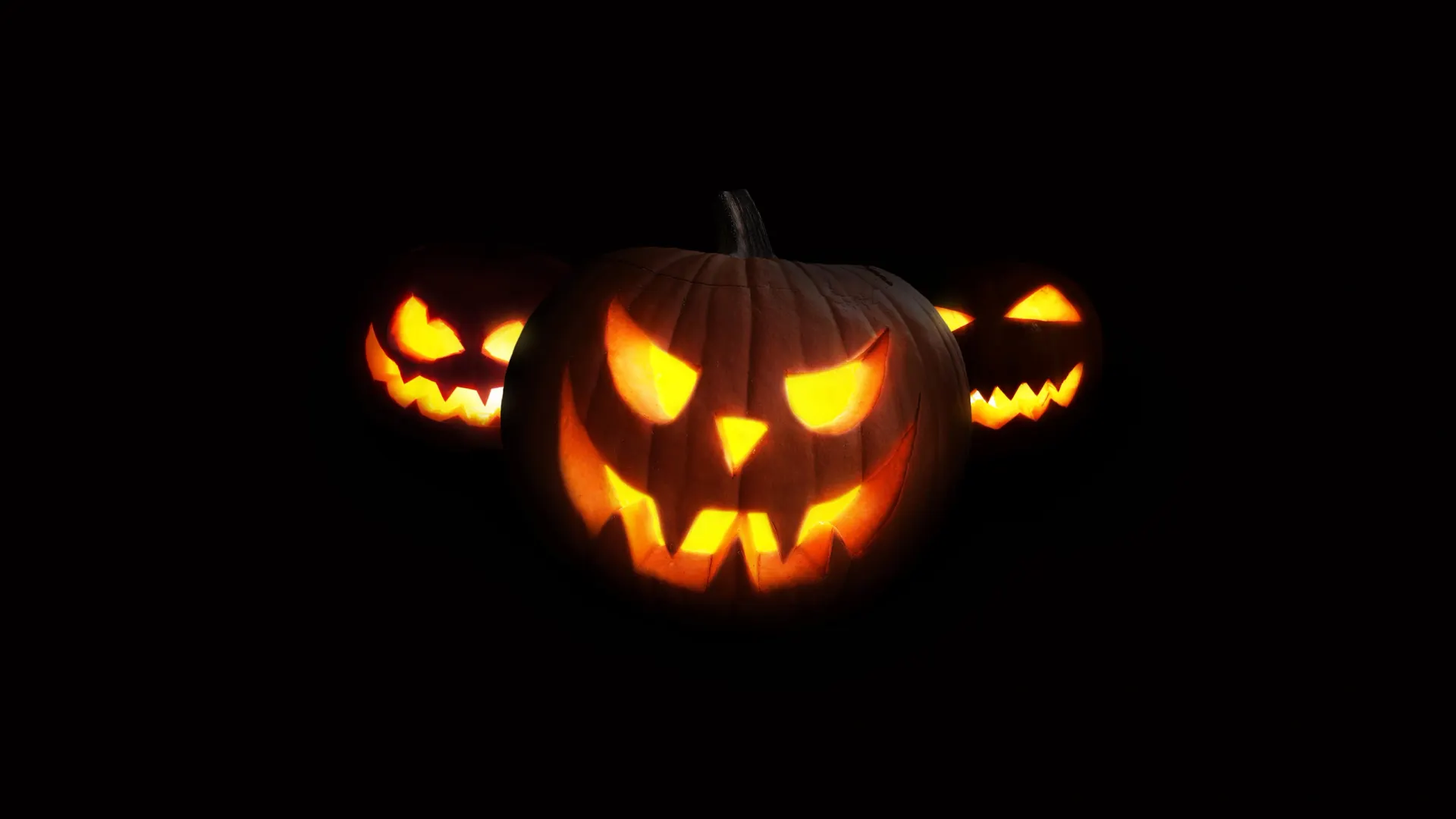 Фото: Alones/Shutterstock/Fotodom