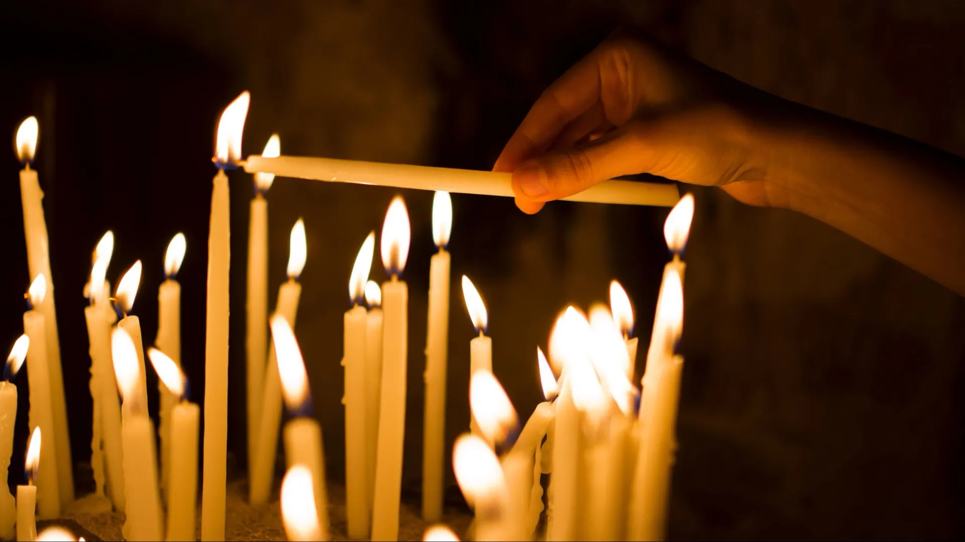 Фото: sondem/Shutterstock/Fotodom