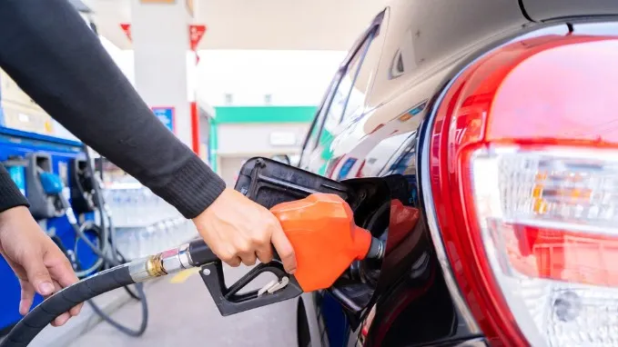 Фото: jittawit21/Shutterstock/ФОТОДОМ