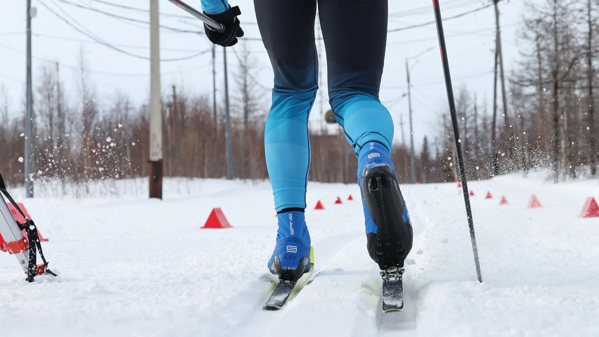 Фото: Андрей Ткачёв/«Ямал-Медиа»