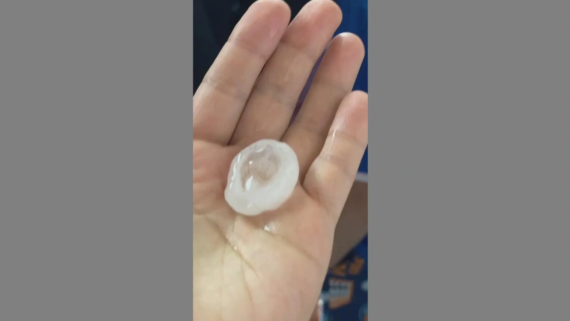 Кадр из видео: t.me/YAMAL89_RUS