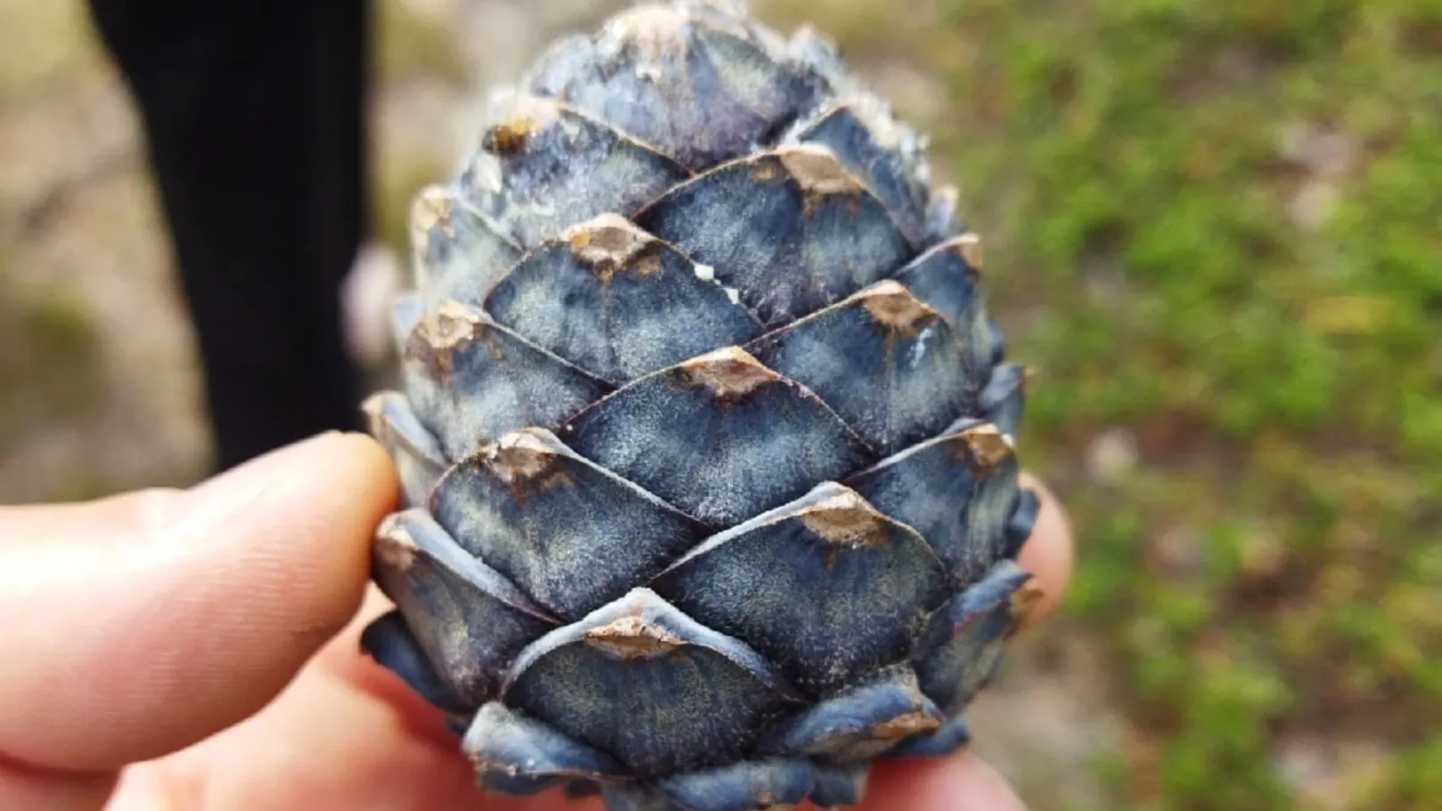 Фото: Денис Викторович, группа «Злой и добрый надымчанин» во «ВКонтакте»