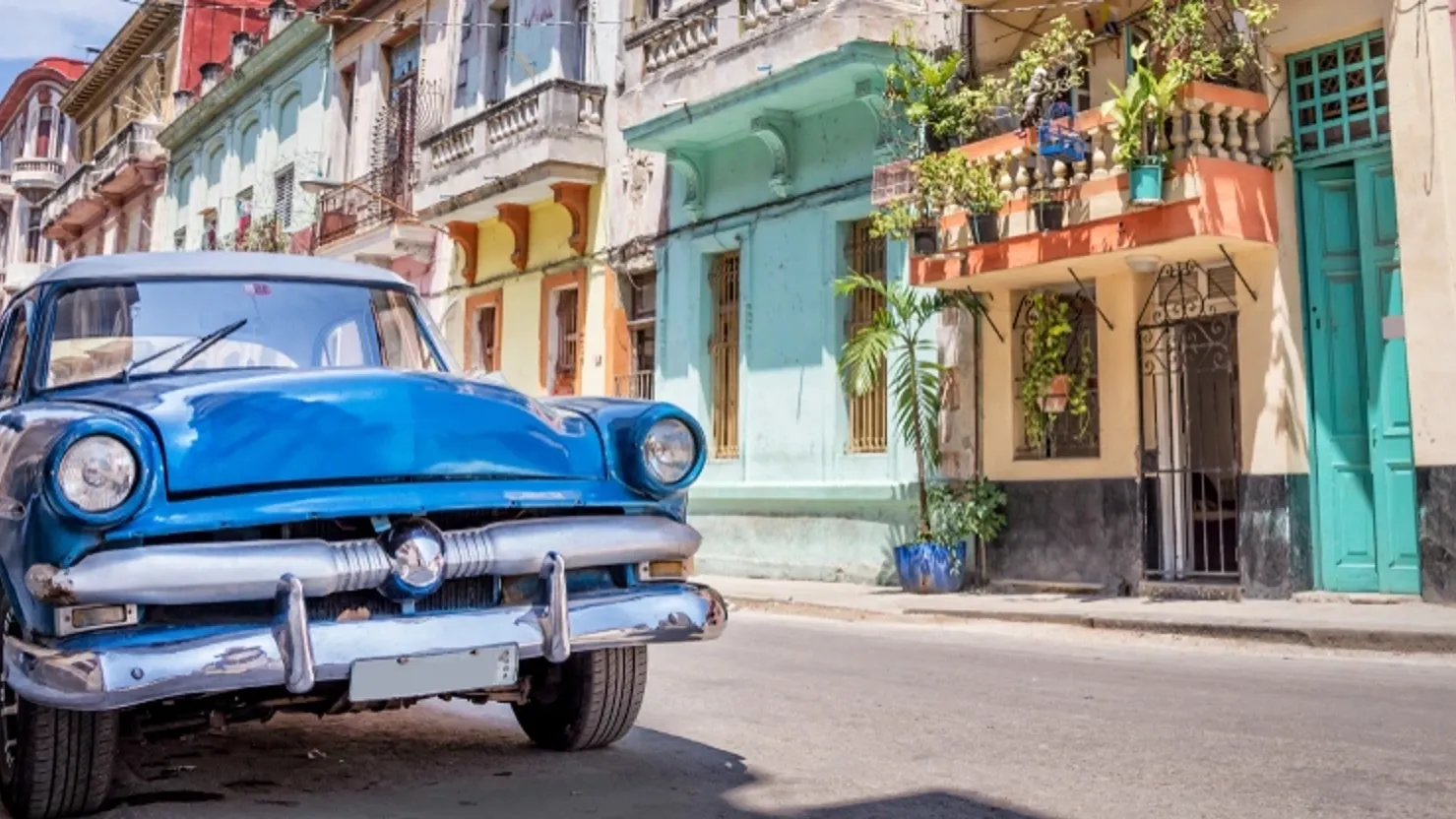 Фото: Delpixel/Shutterstock/Fotodom