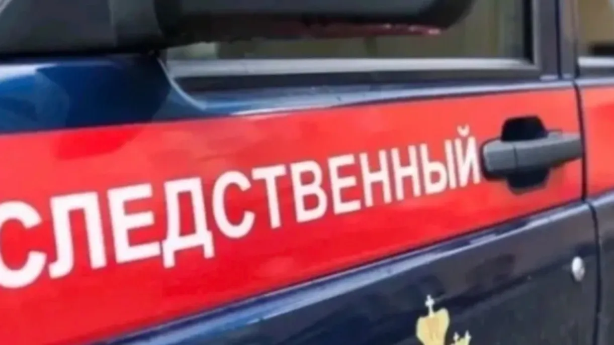 Фото: предоставлено пресс-службой СК РФ