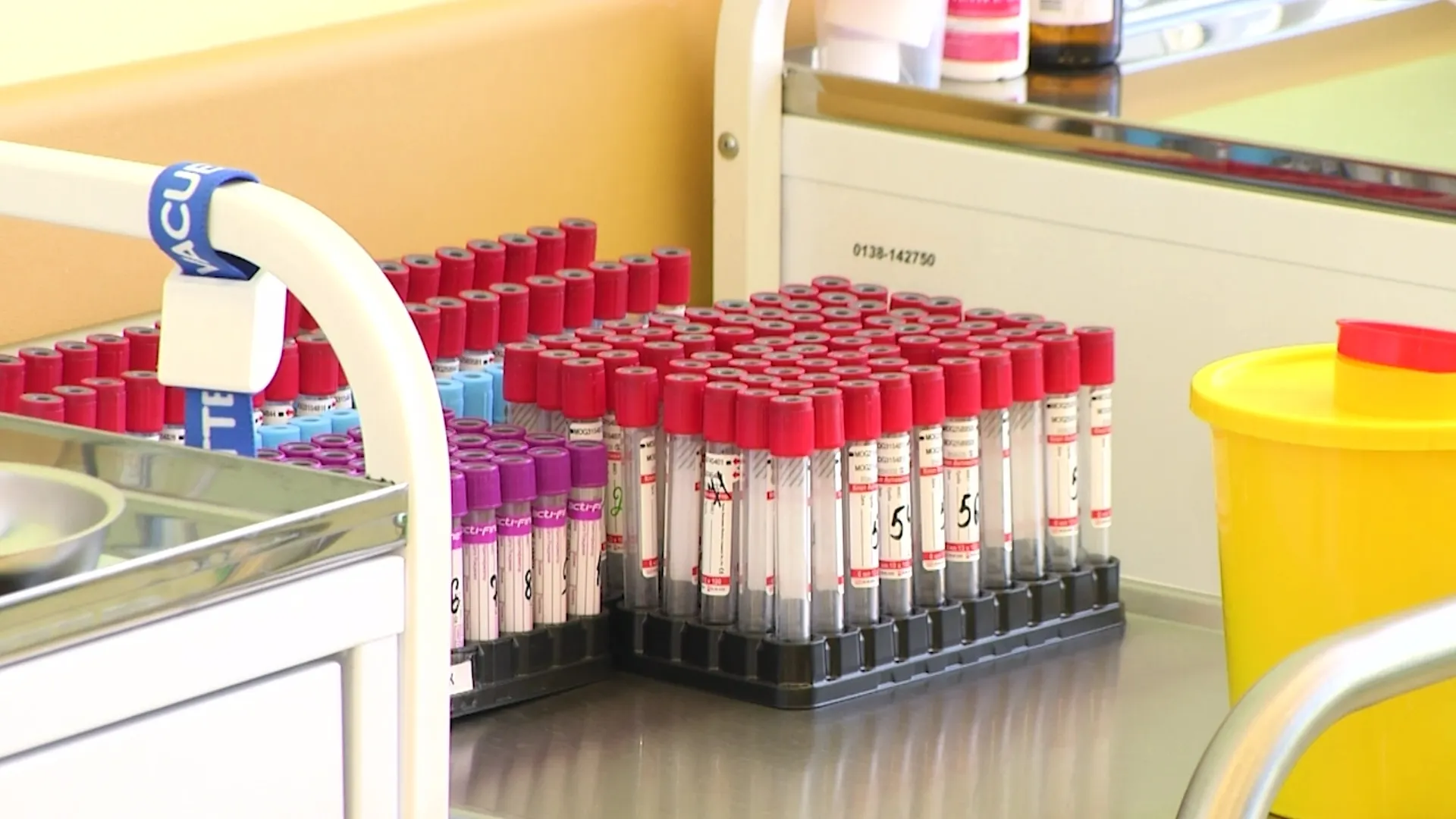 Фото: Новости Ямала