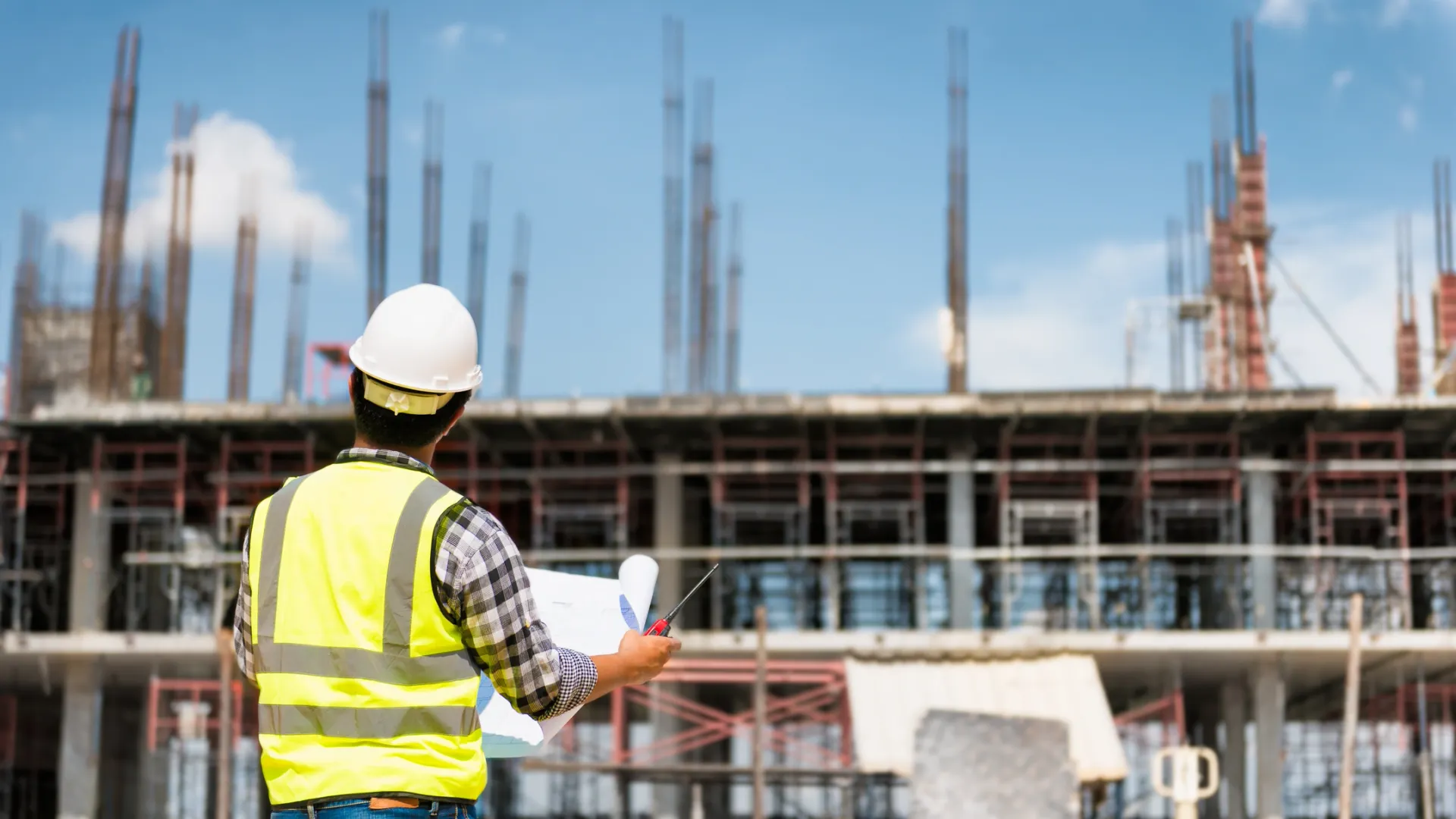 Фото: Sorn340 Studio Images/Shutterstock/Fotodom