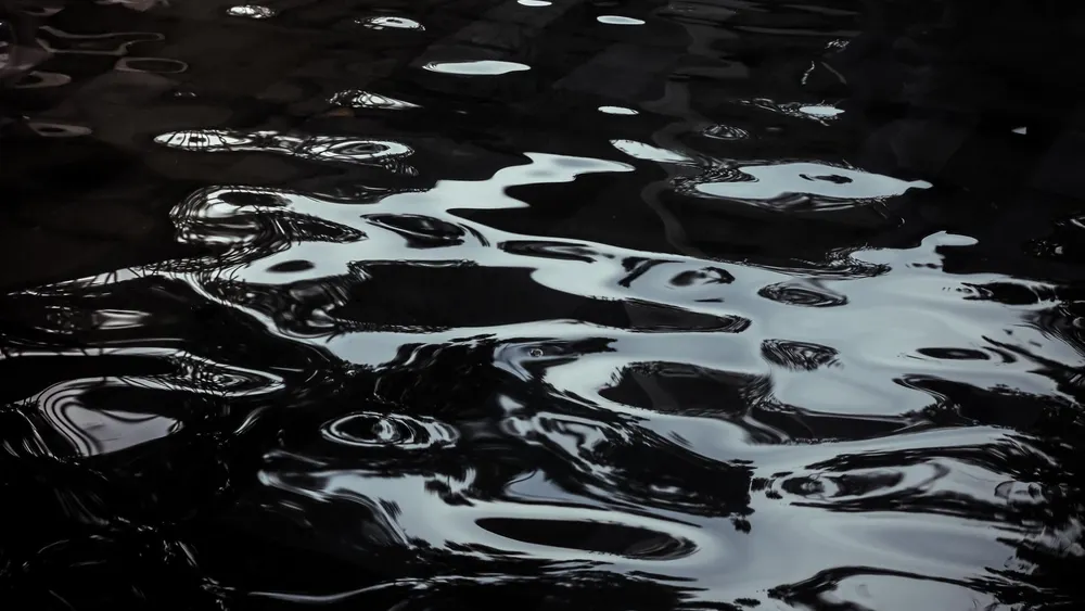 triocean / Shutterstock