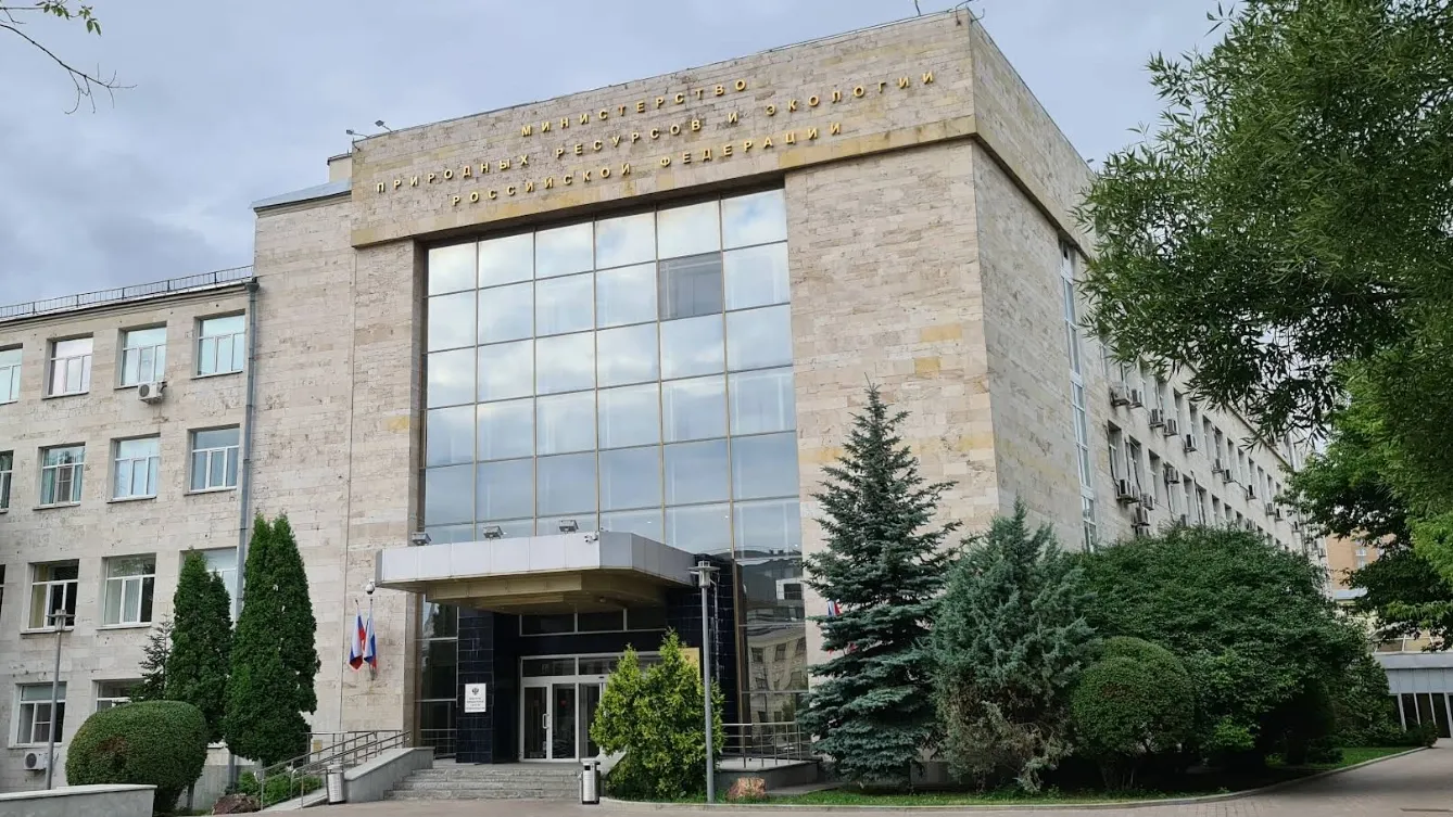 Фото: David Leman/google.com/maps