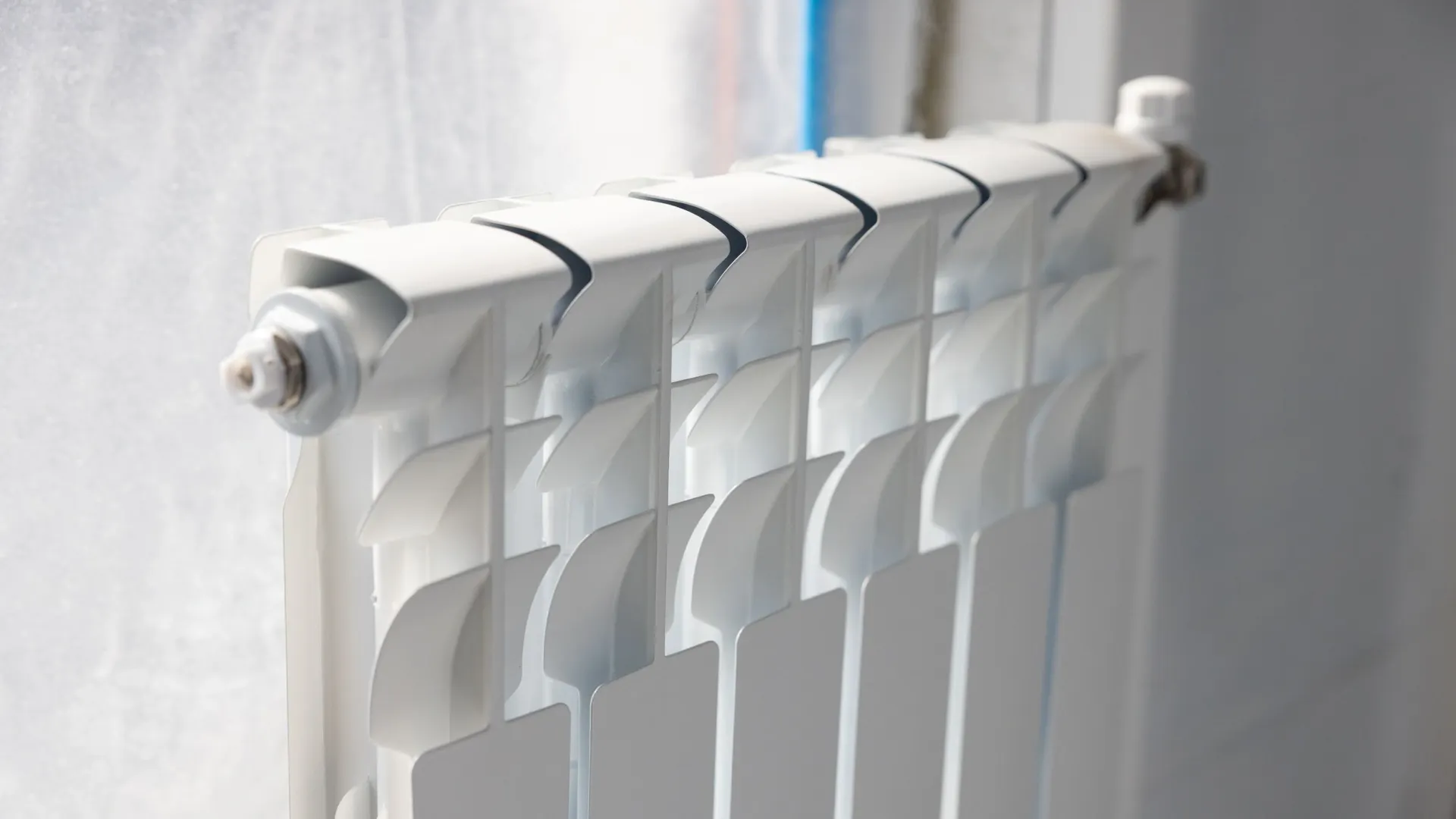 Фото: Федор Воронов/«Ямал-Медиа»