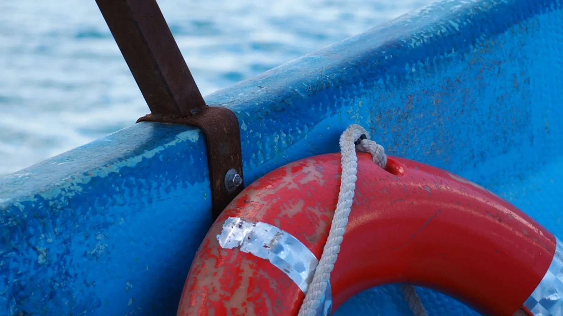 Фото: Ed Bromley/Shutterstock