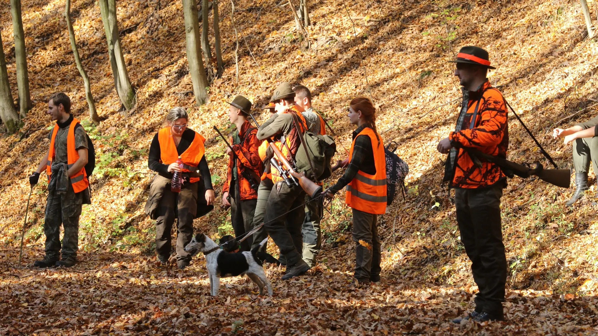 Фото: Michalicenko/Shutterstock/Fotodom