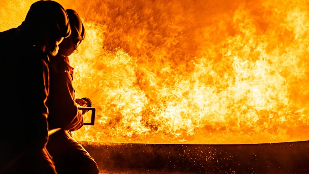 Фото: vichie81/Shutterstock/Fotodom/