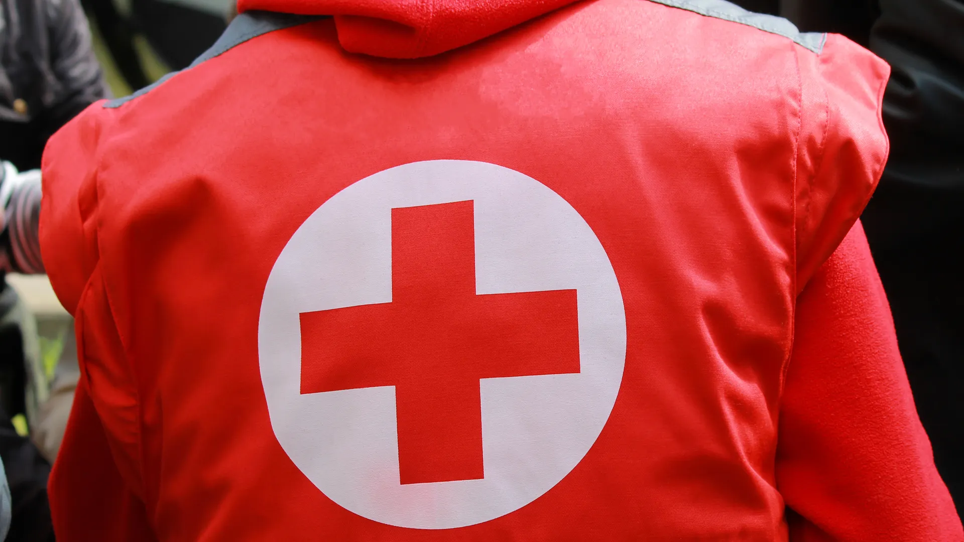 rospoint/Shutterstock.com