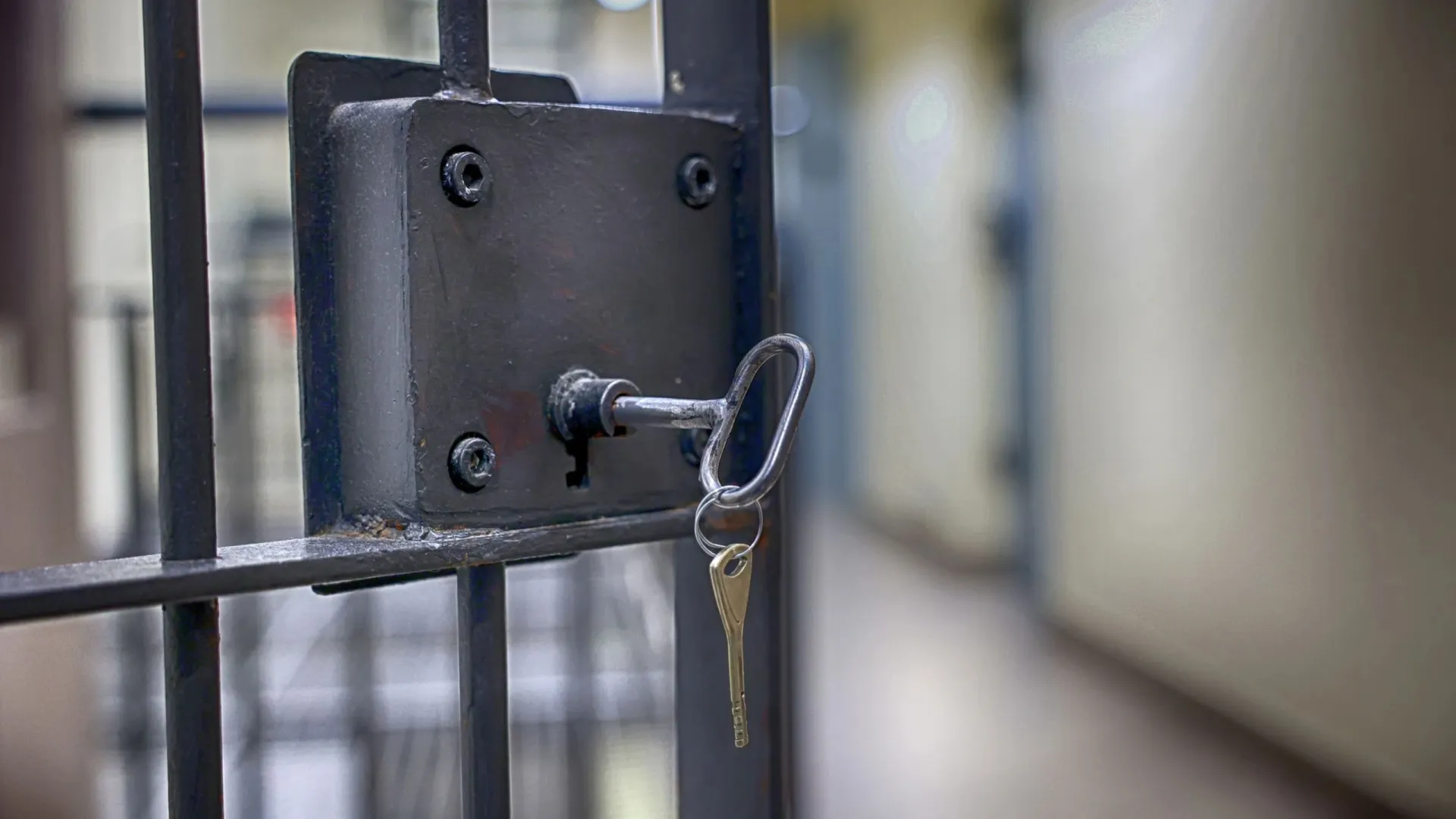 Фото: FotoDax/Shutterstock/Fotodom