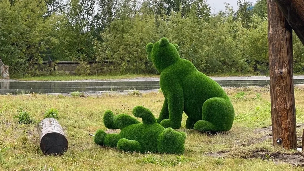 Фото: vk.com/nurengoy