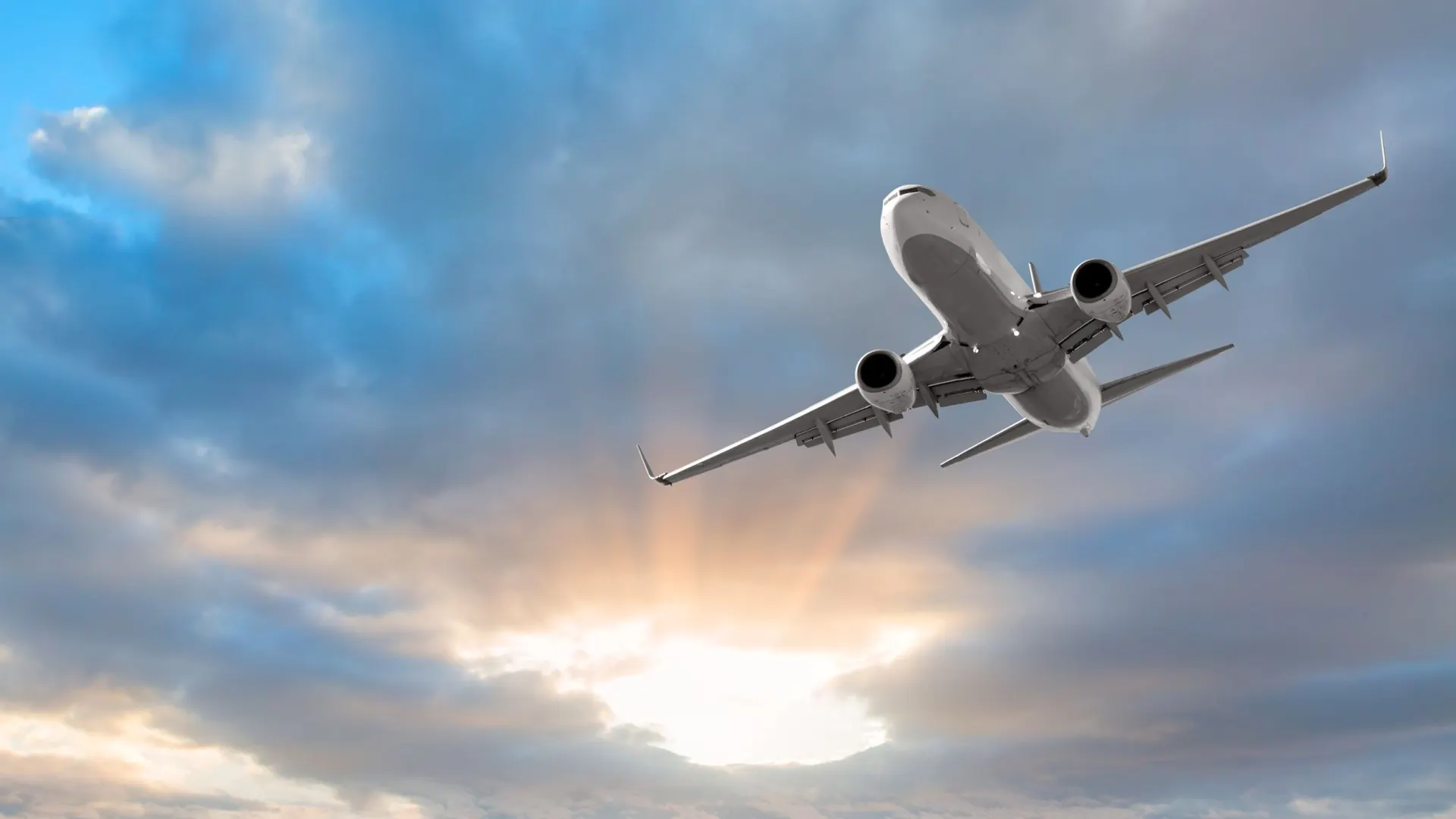 Фото: muratart/Shutterstock/Fotodom