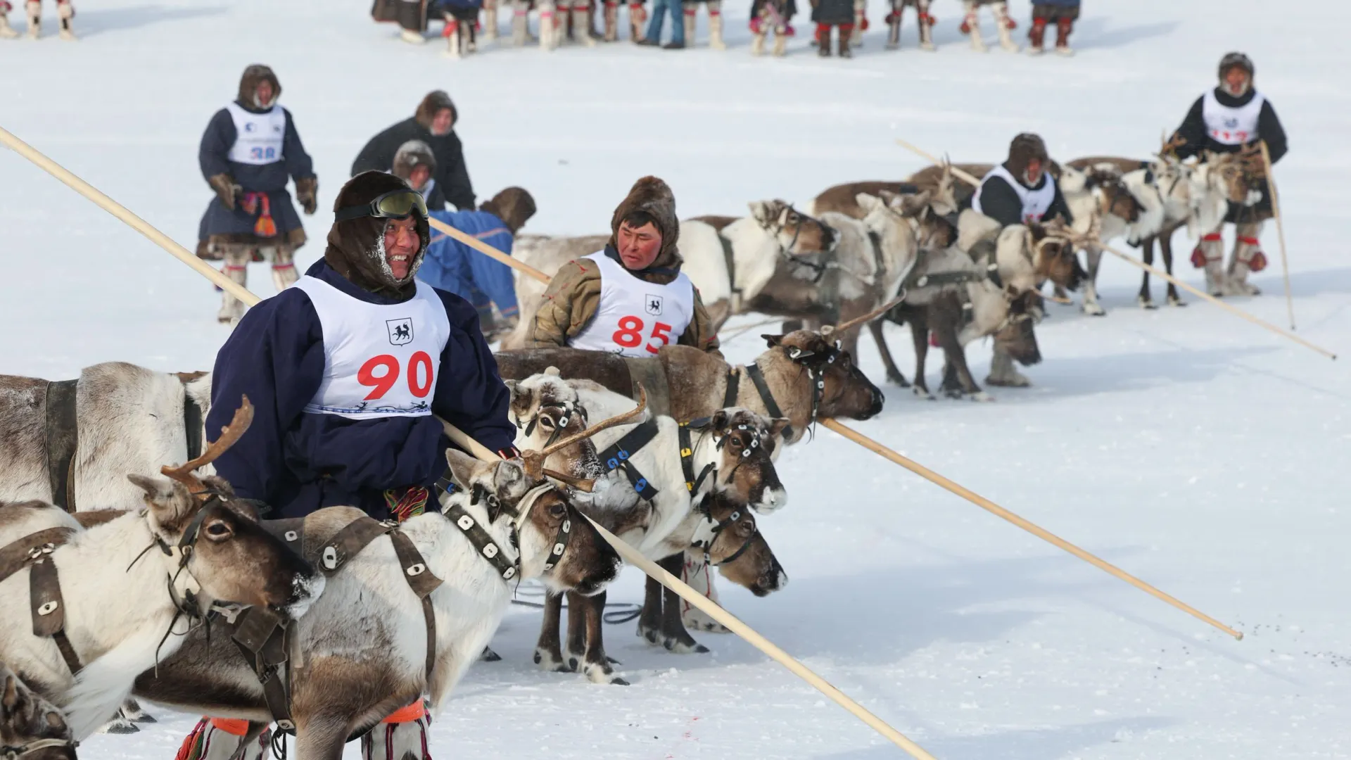 Фото: Андрей Ткачев/«Ямал-Медиа»
