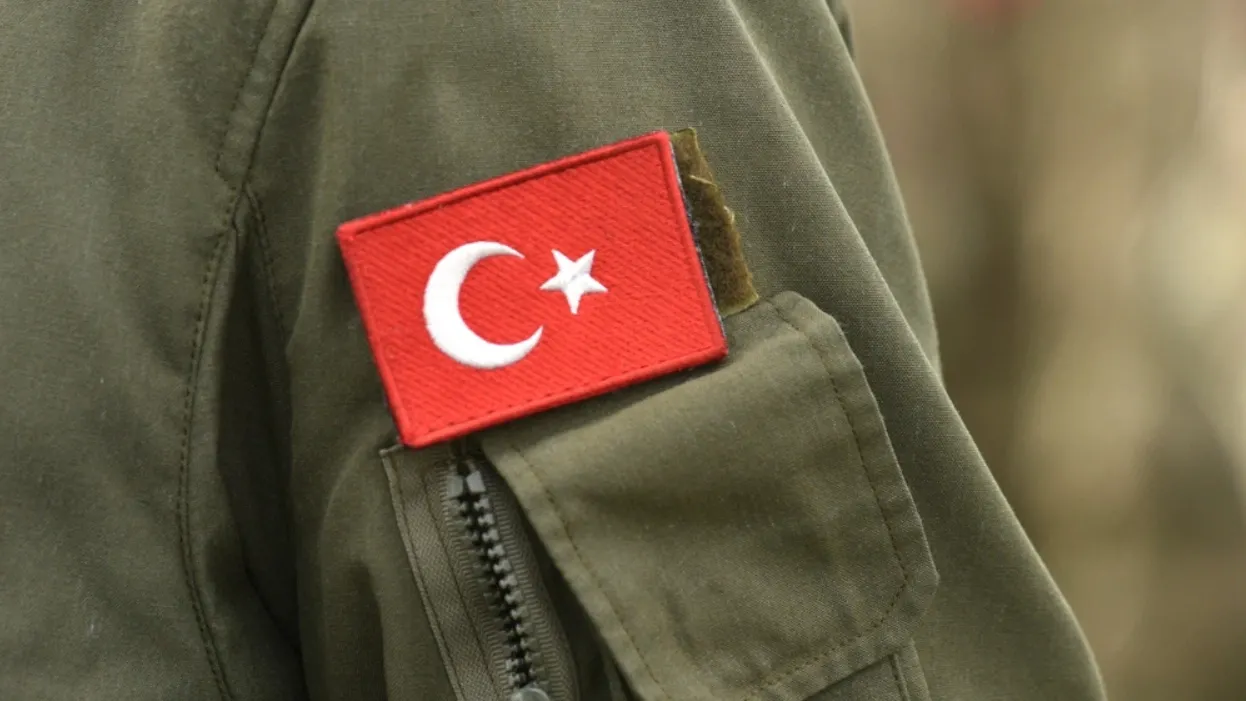 Фото: Bumble Dee/Shutterstock/Fotodom