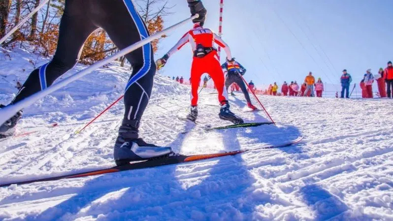 Фото: kovop/Shutteerstock/Fotodom