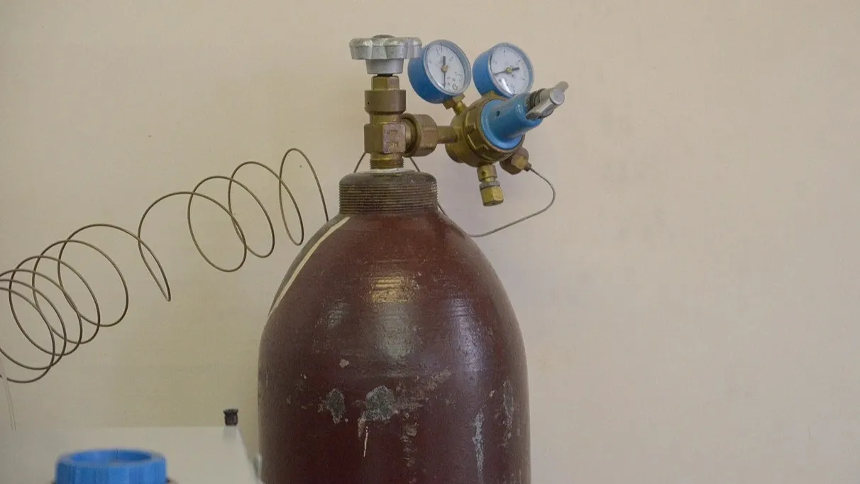 Фото: commons.wikimedia.org