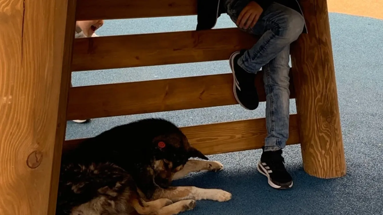 Фото: из группы «ГОРОРО | Новый Уренгой» во «ВКонтаете»