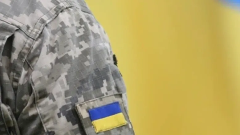 Фото: Bumble Dee/Shutterstock/Fotodom