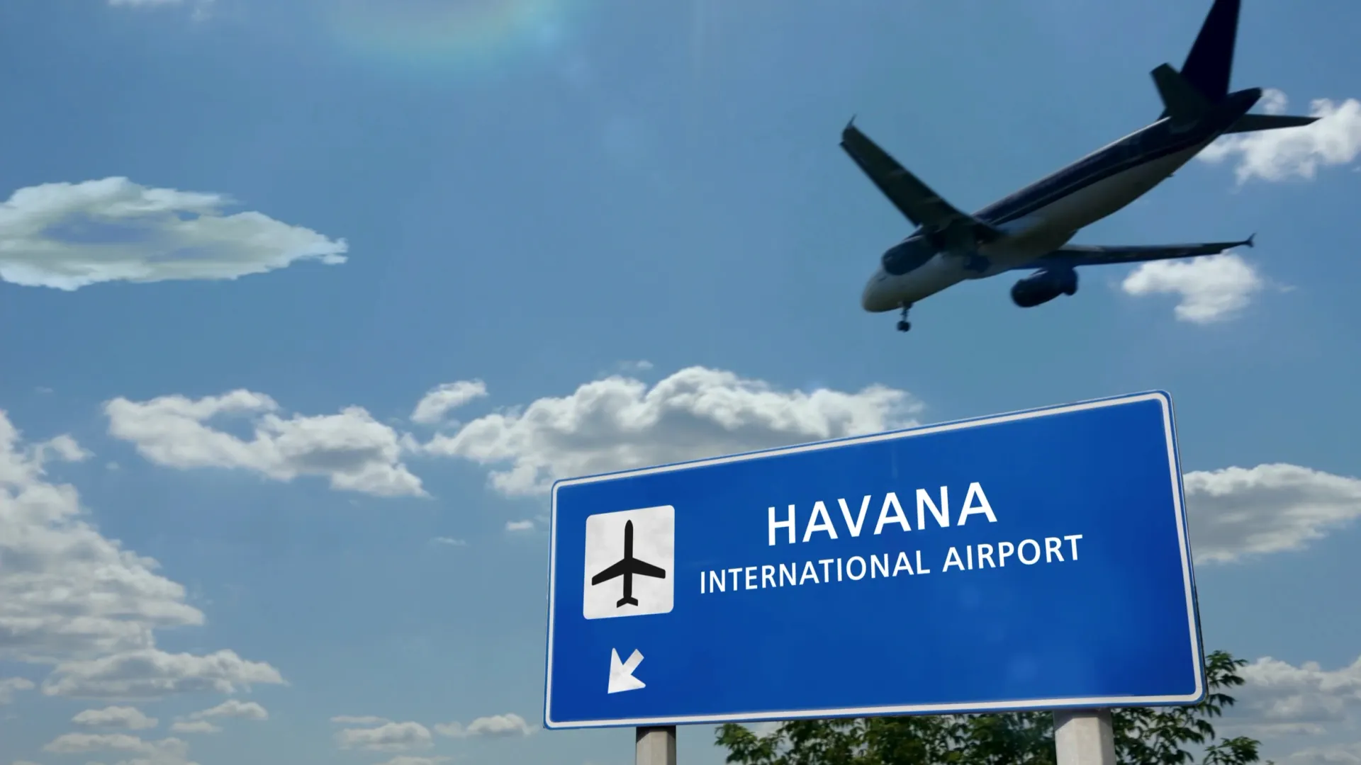 Фото: Skorzewiak/Shutterstock/Fotodom