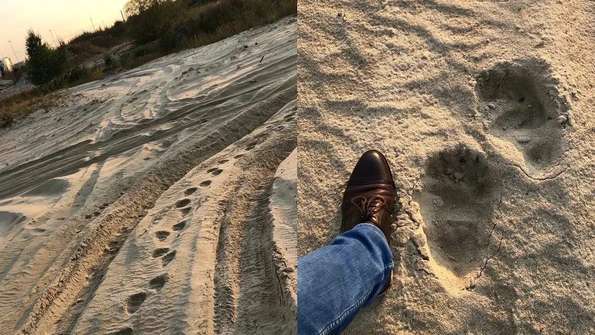 Фото: «ЧП | ДТП | Новый Уренгой» во «ВКонтакте»