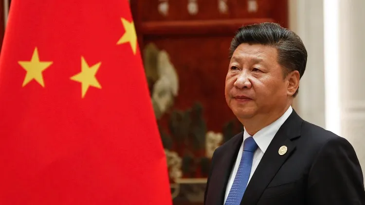 Фото: Gil Corzo/Shutterstock/Fotodom