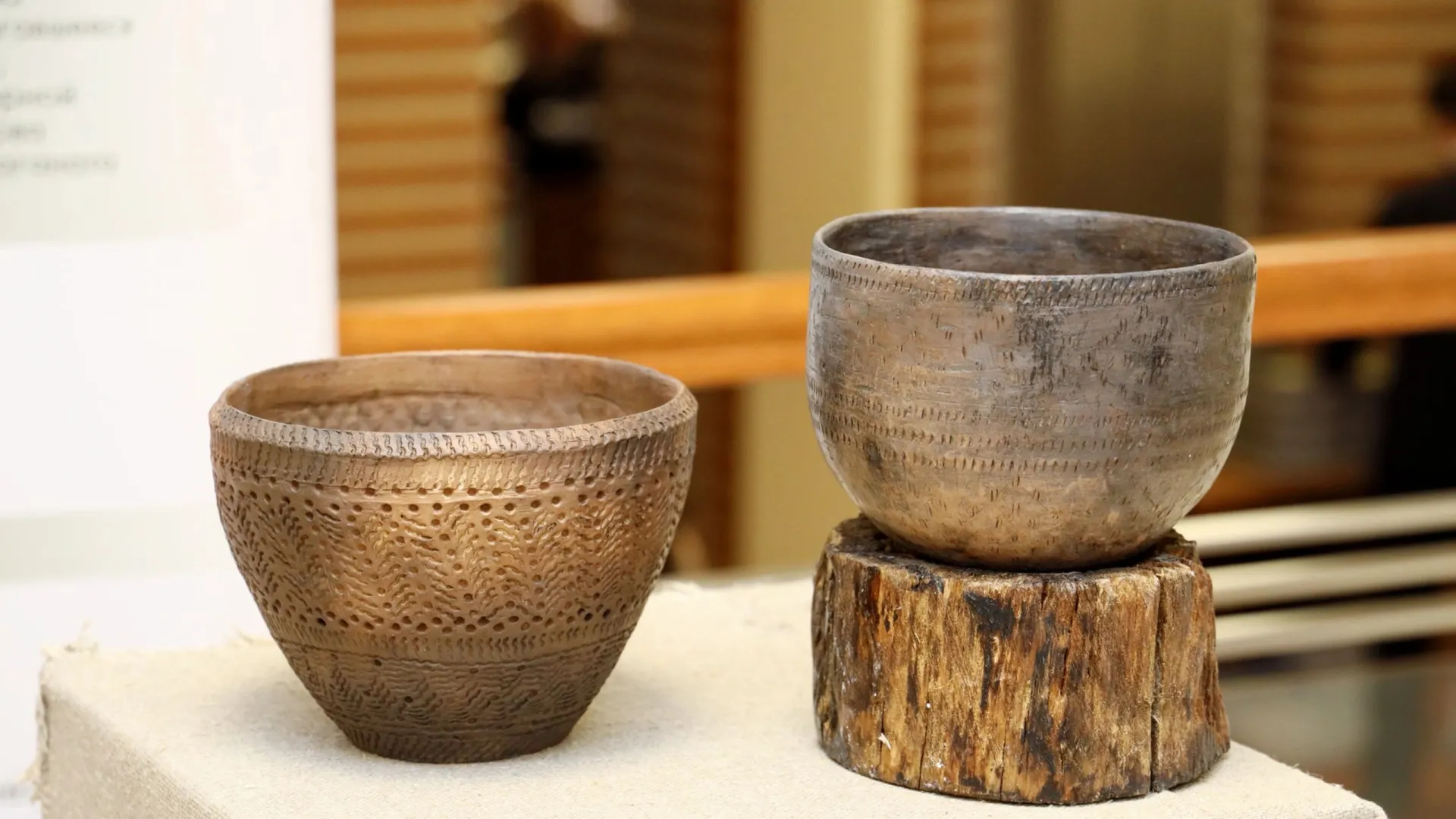 Фото: Василий Петров/«Ямал-Медиа»