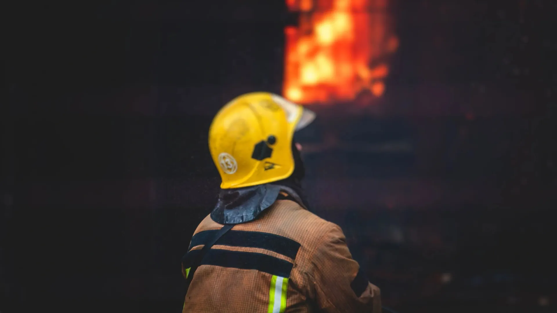 Фото: Tsuguliev/Shutterstock/Fotodom