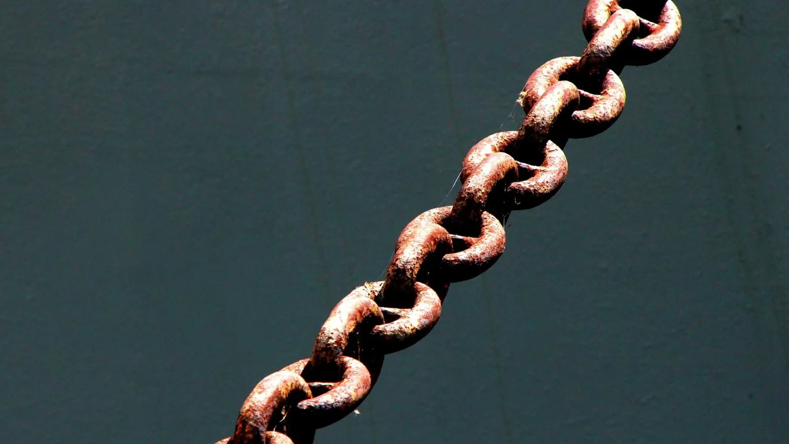 fen-tastic \ Flickr.com