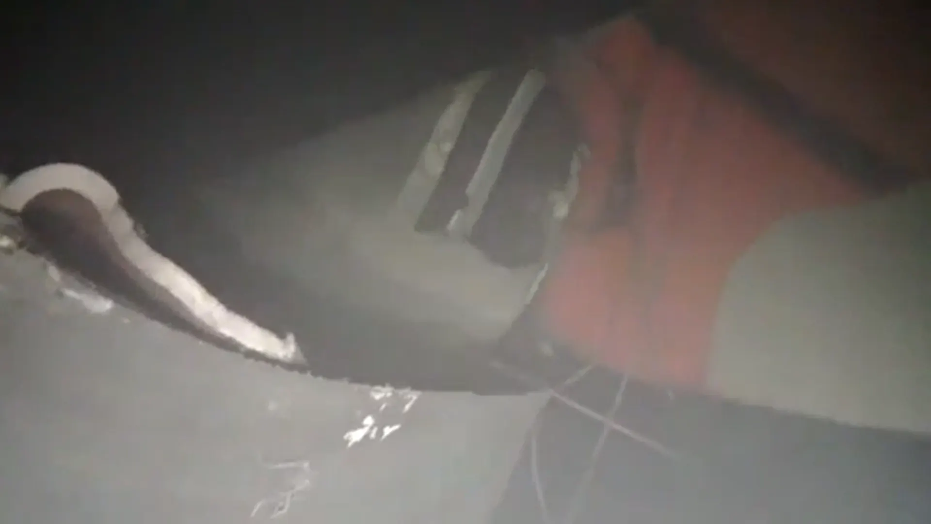 Фото: скриншот видео