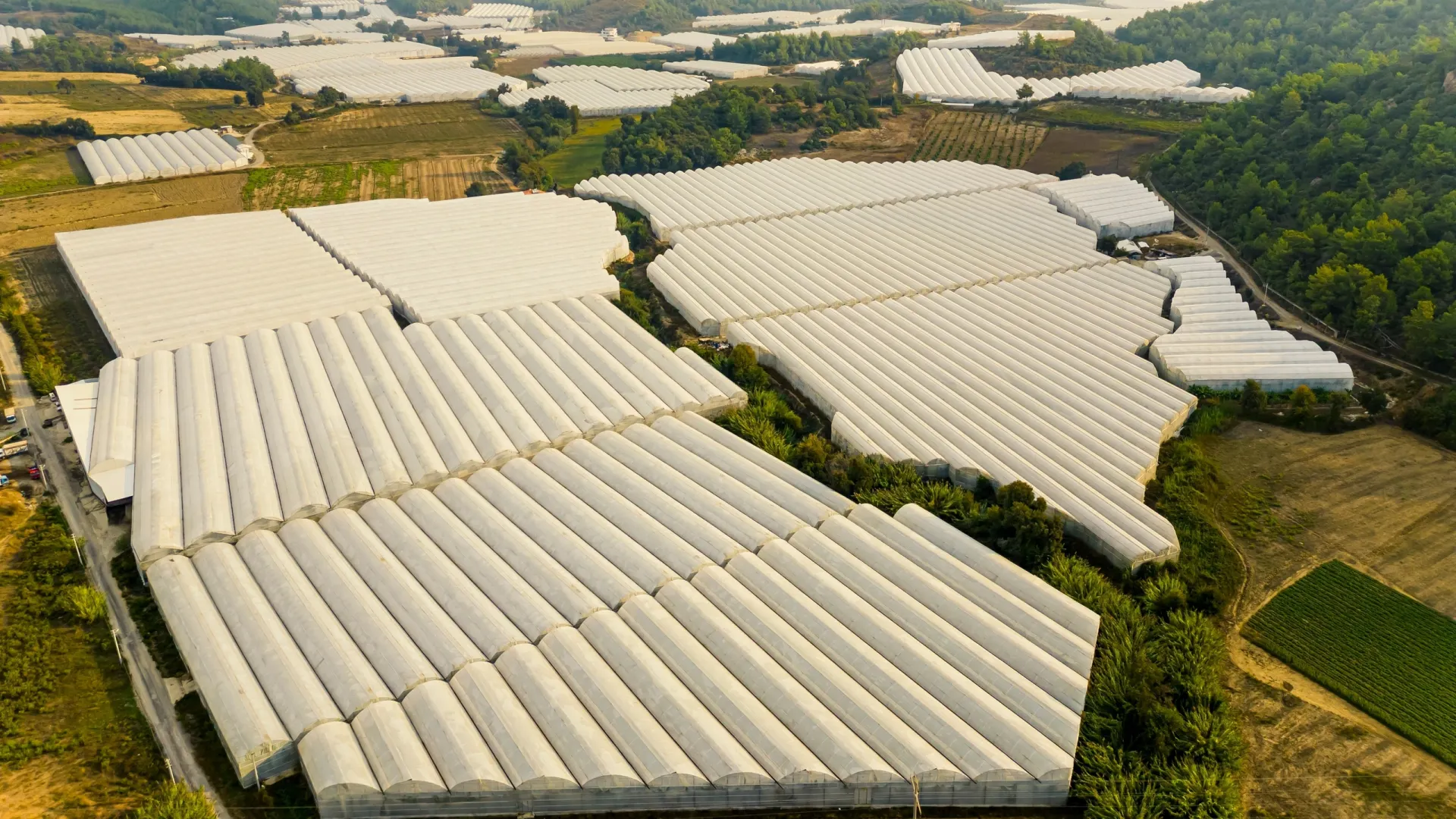 Фото: Poppy Pix/Shutterstock/Fotodom