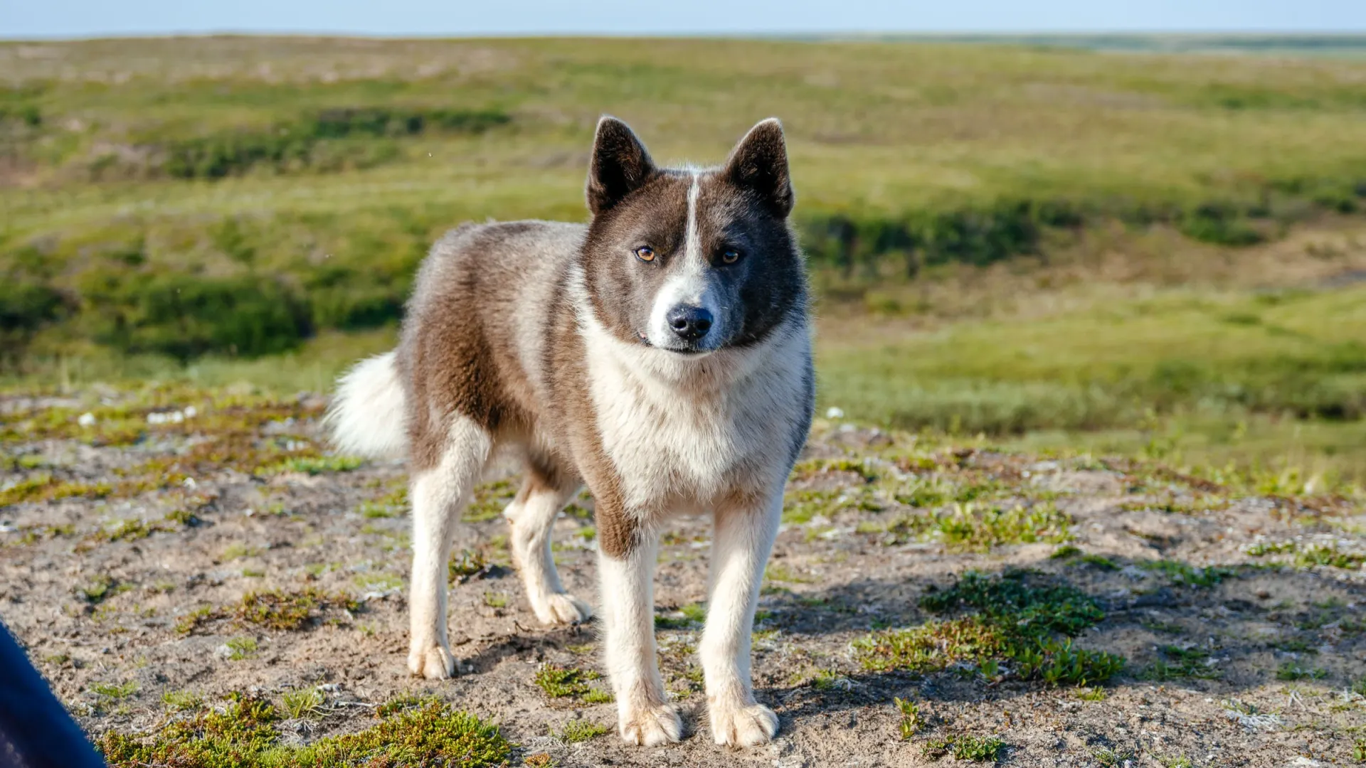 Фото: Юлия Чудинова/АНО «Ямал-Медиа»