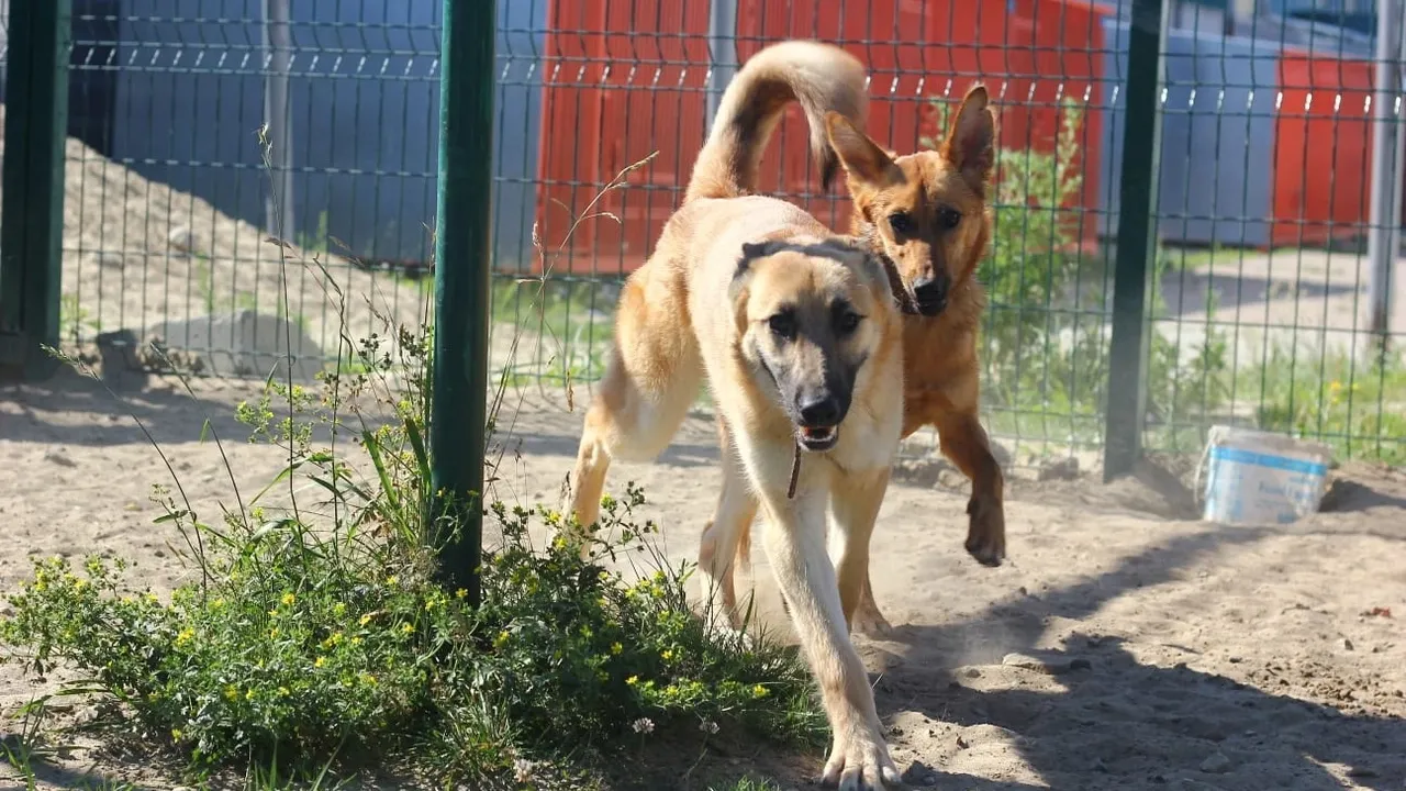 Фото: vk.com/gorodskoipriiut