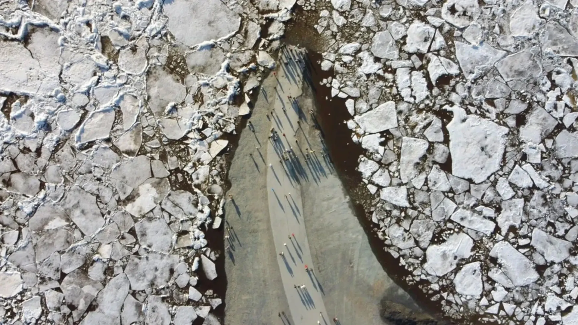 Фото: «Ямал-Медиа»