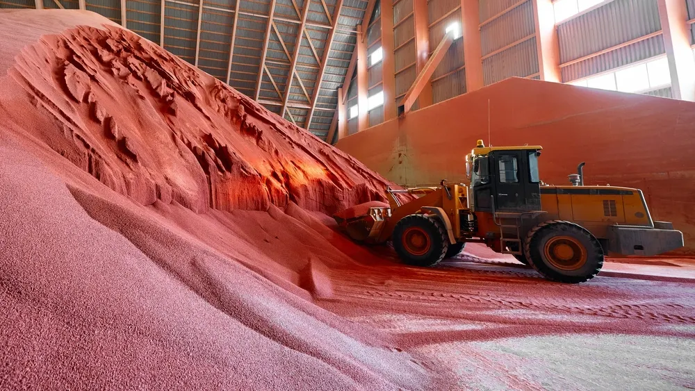 Фото: Nordroden/Shutterstock/Fotodom