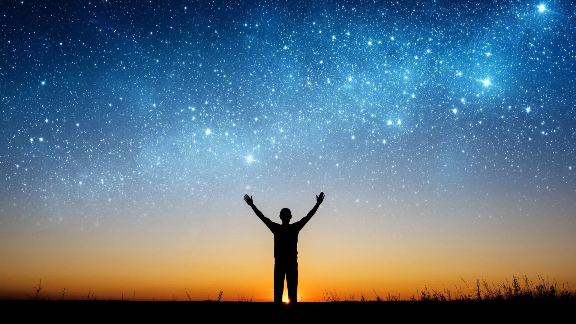 Фото: Triff/Shutterstock/Fotodom