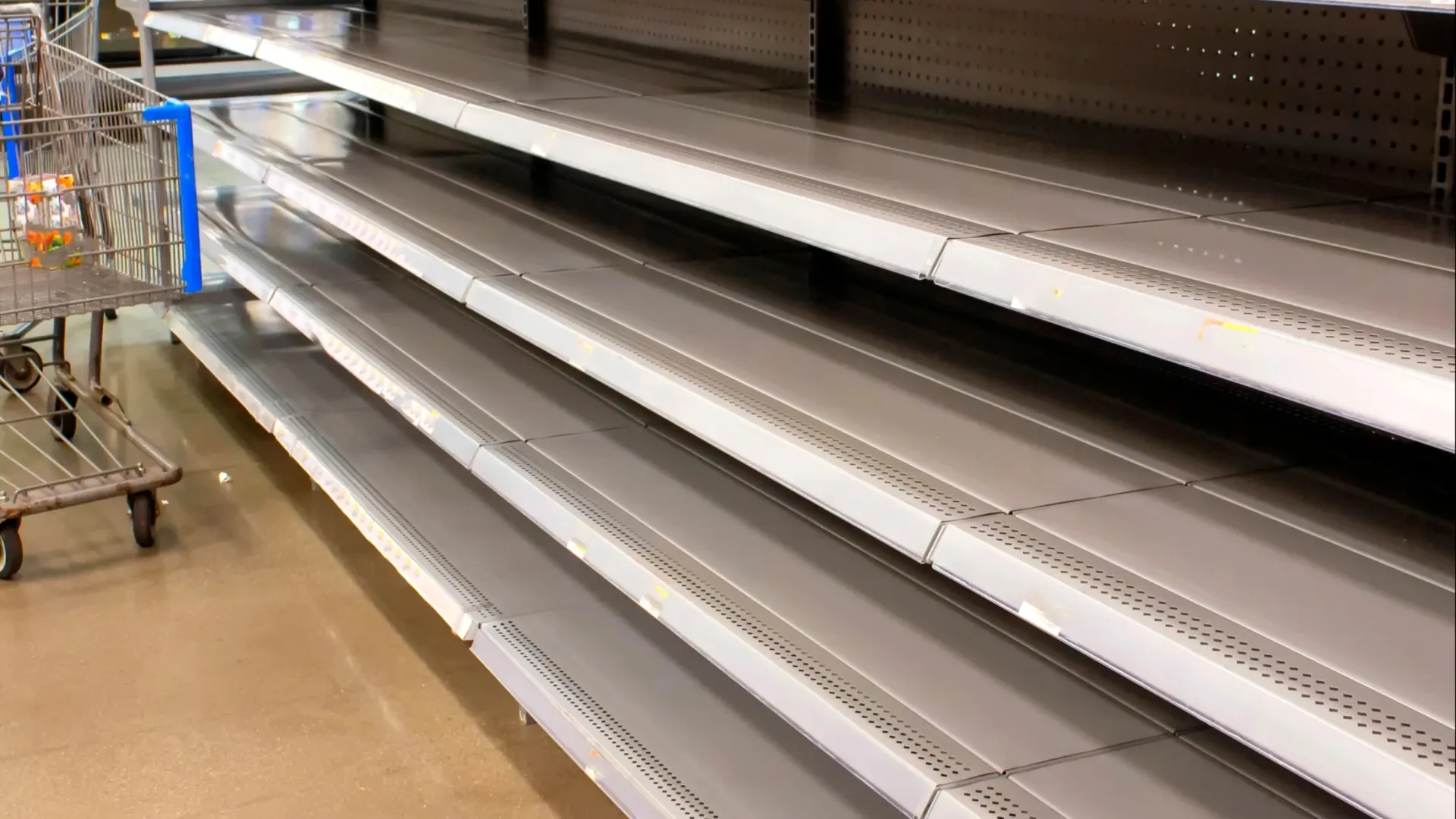 Фото: F Armstrong Photography/Shutterstock/Fotodom