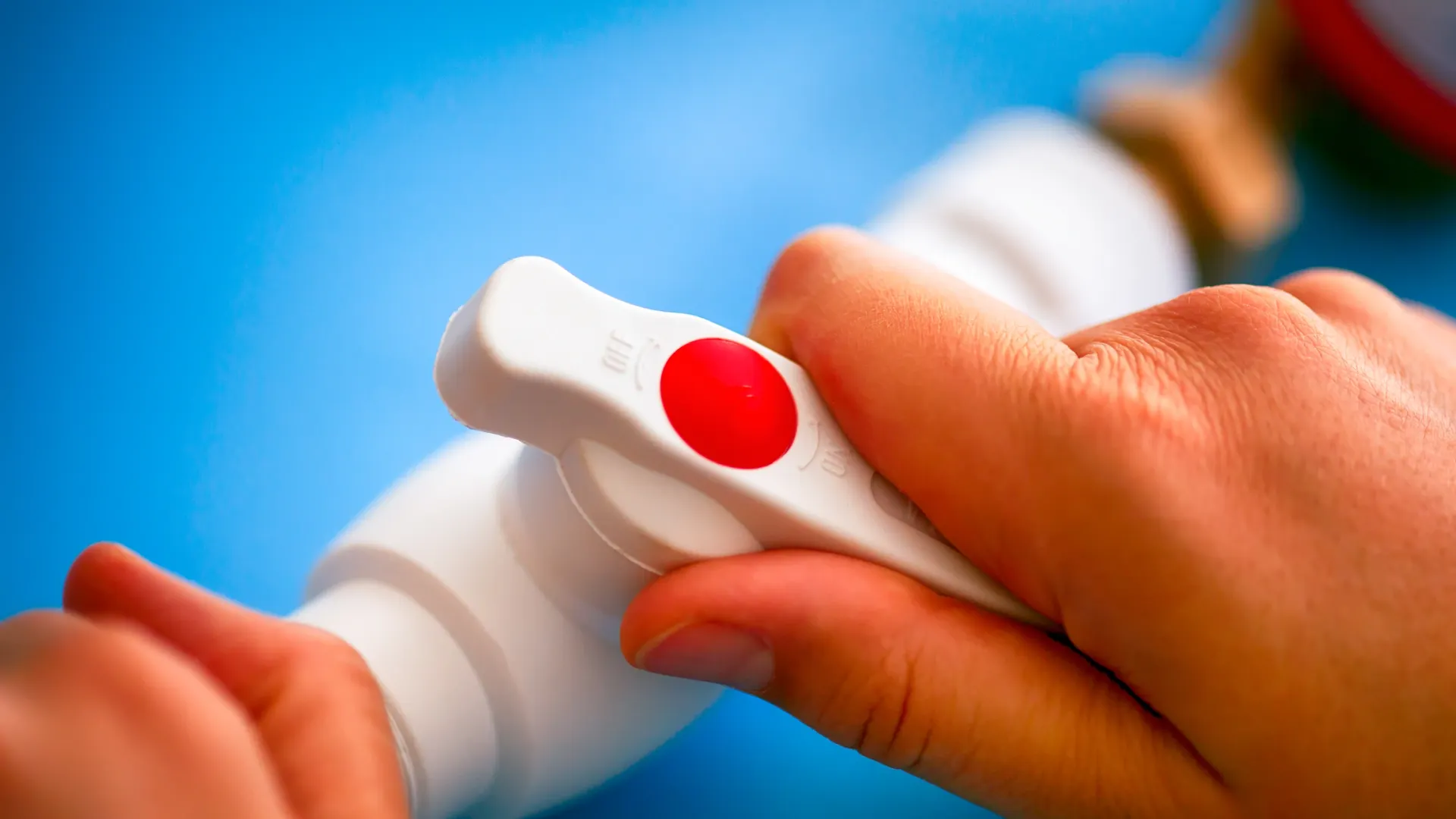 Фото: Ekaterina_Minaeva/Shutterstock/Fotodom