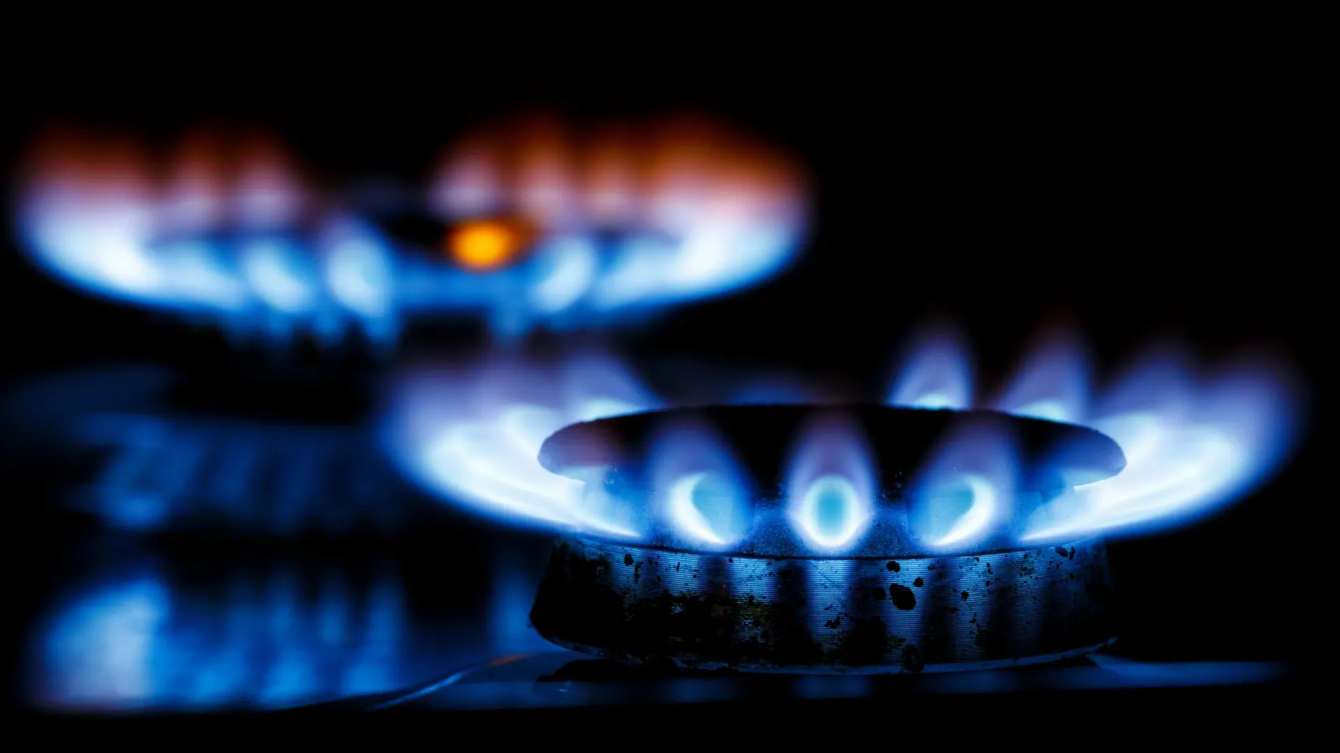 Sergei Elagin \ Shutterstock.com