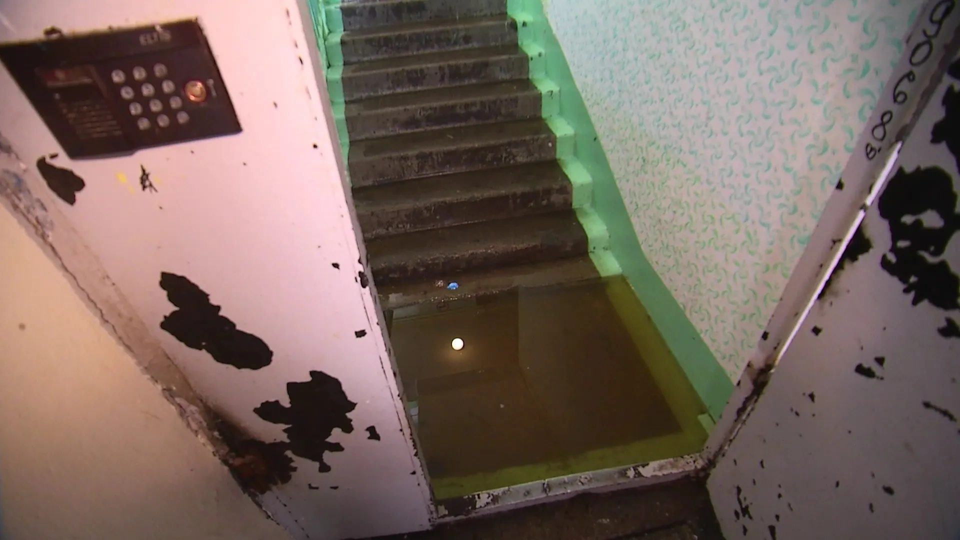 Фото: Новости Ямал