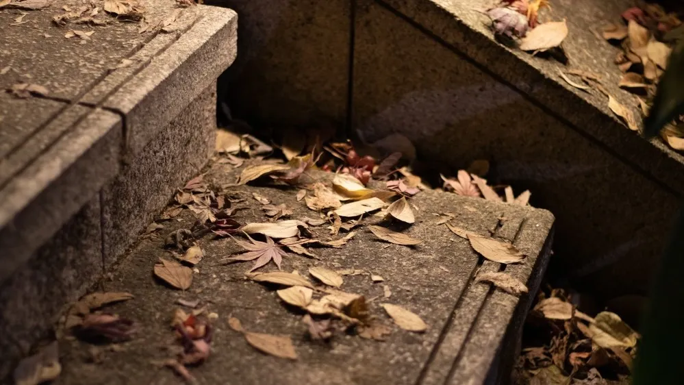 Фото: ChopChopa/Shutterstock/Fotodom