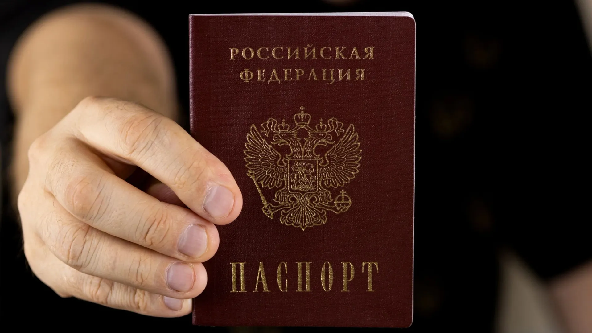 Фото: richir/Shutterstock/Fotodom