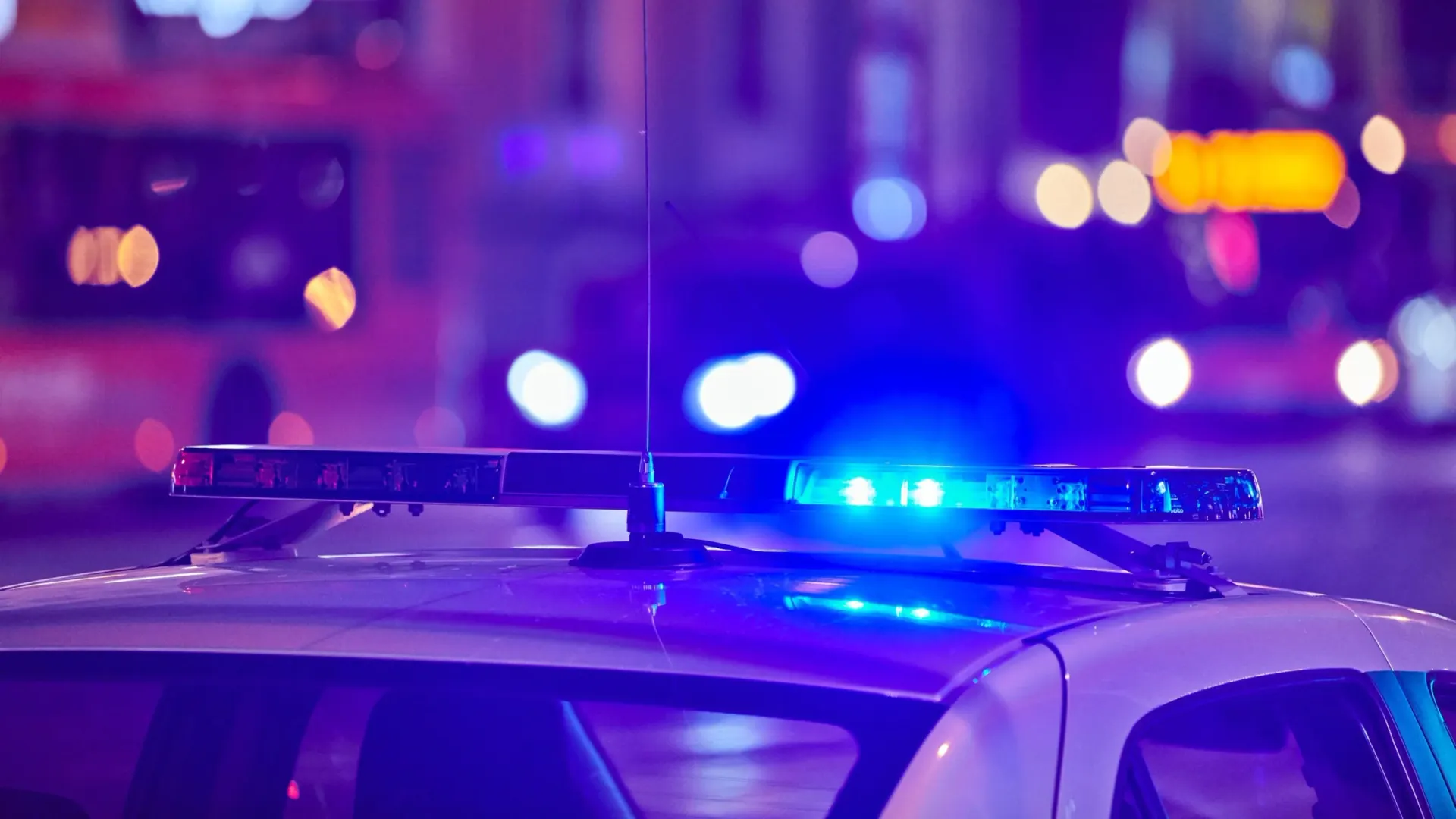 Фото: travelarium.ph/Shutterstock/Fotodom